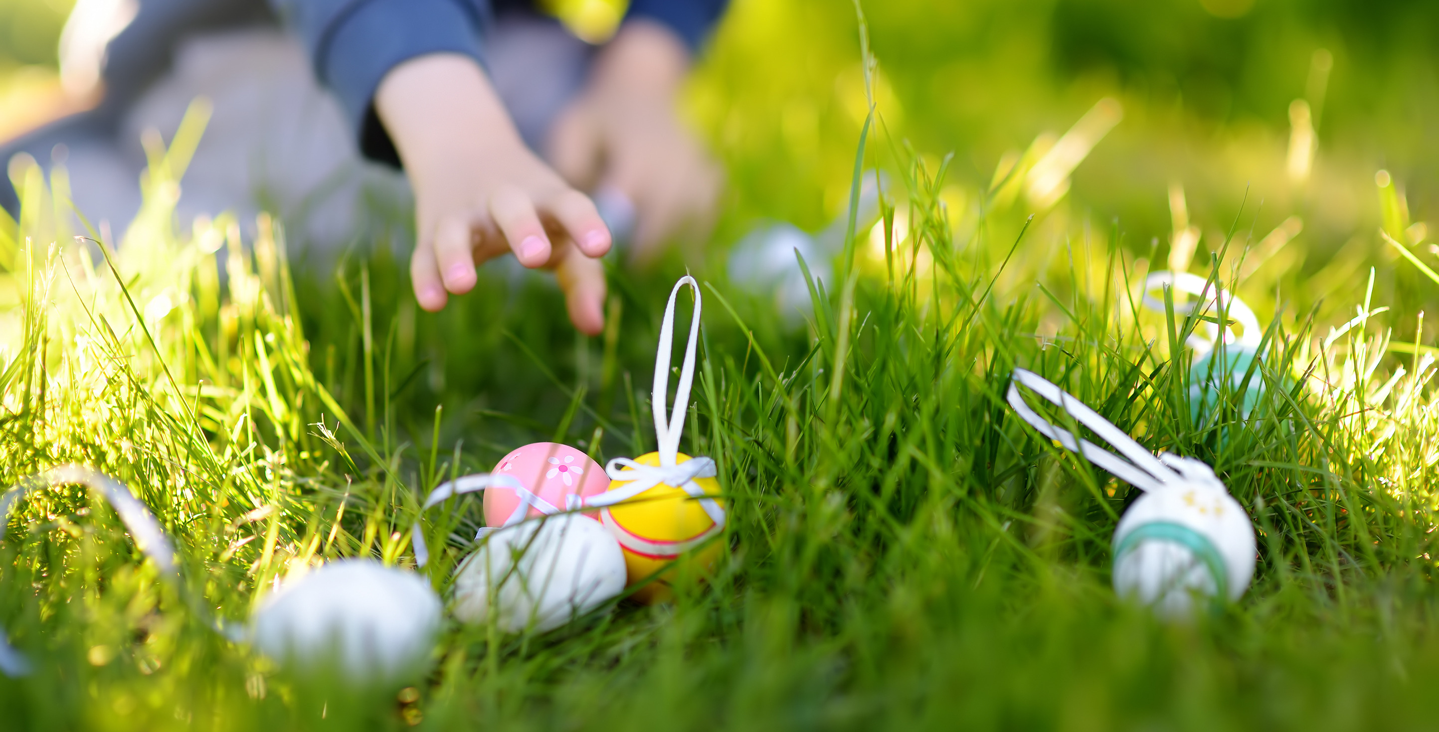 adobestock-317661161-10662