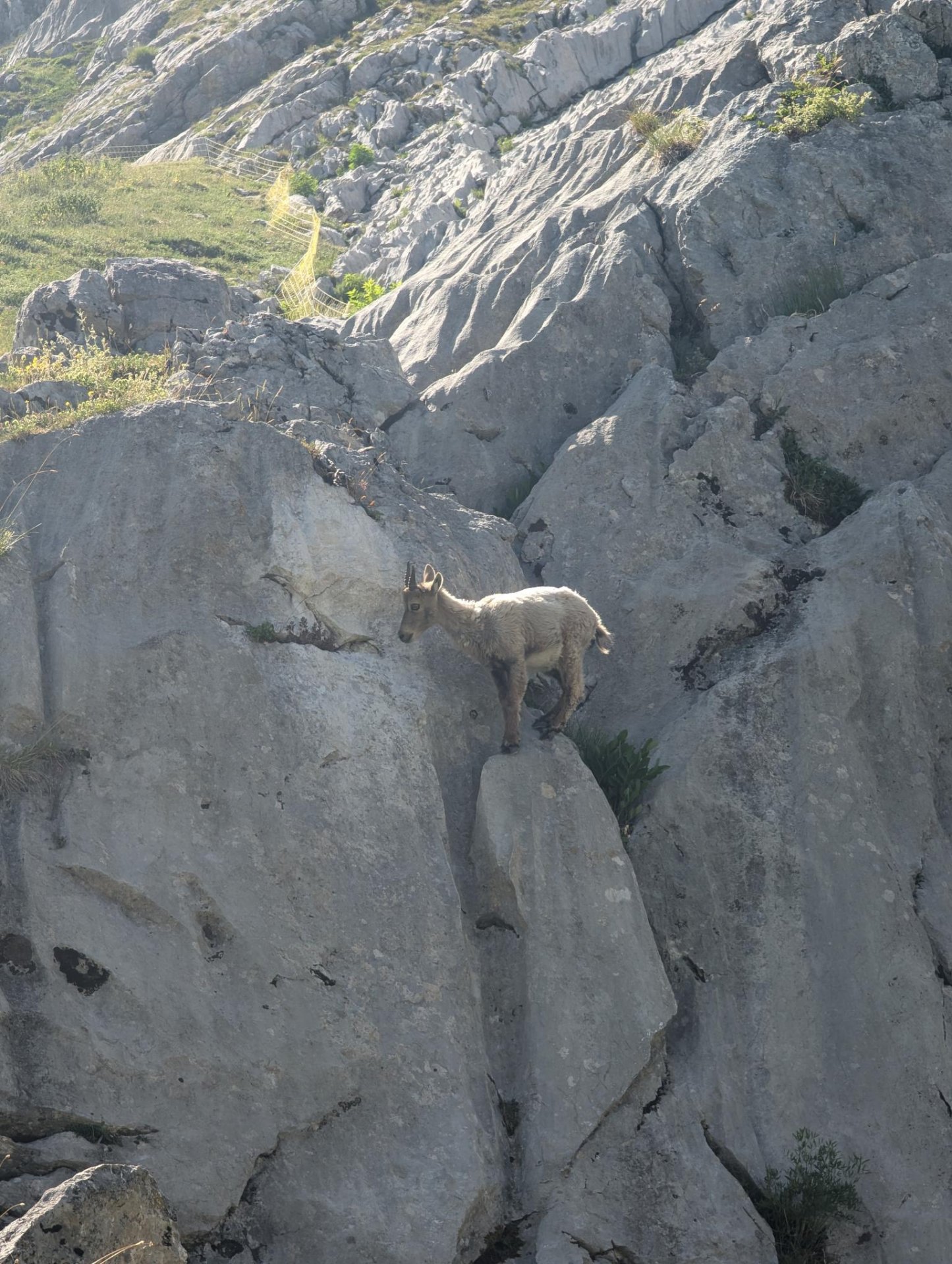 pxl-20250627-140914826-33536