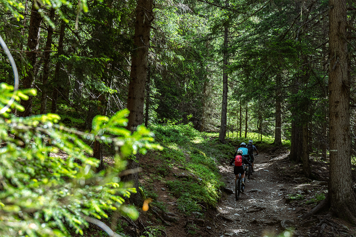 vtt-chamonix-mont-blanc-1-35368