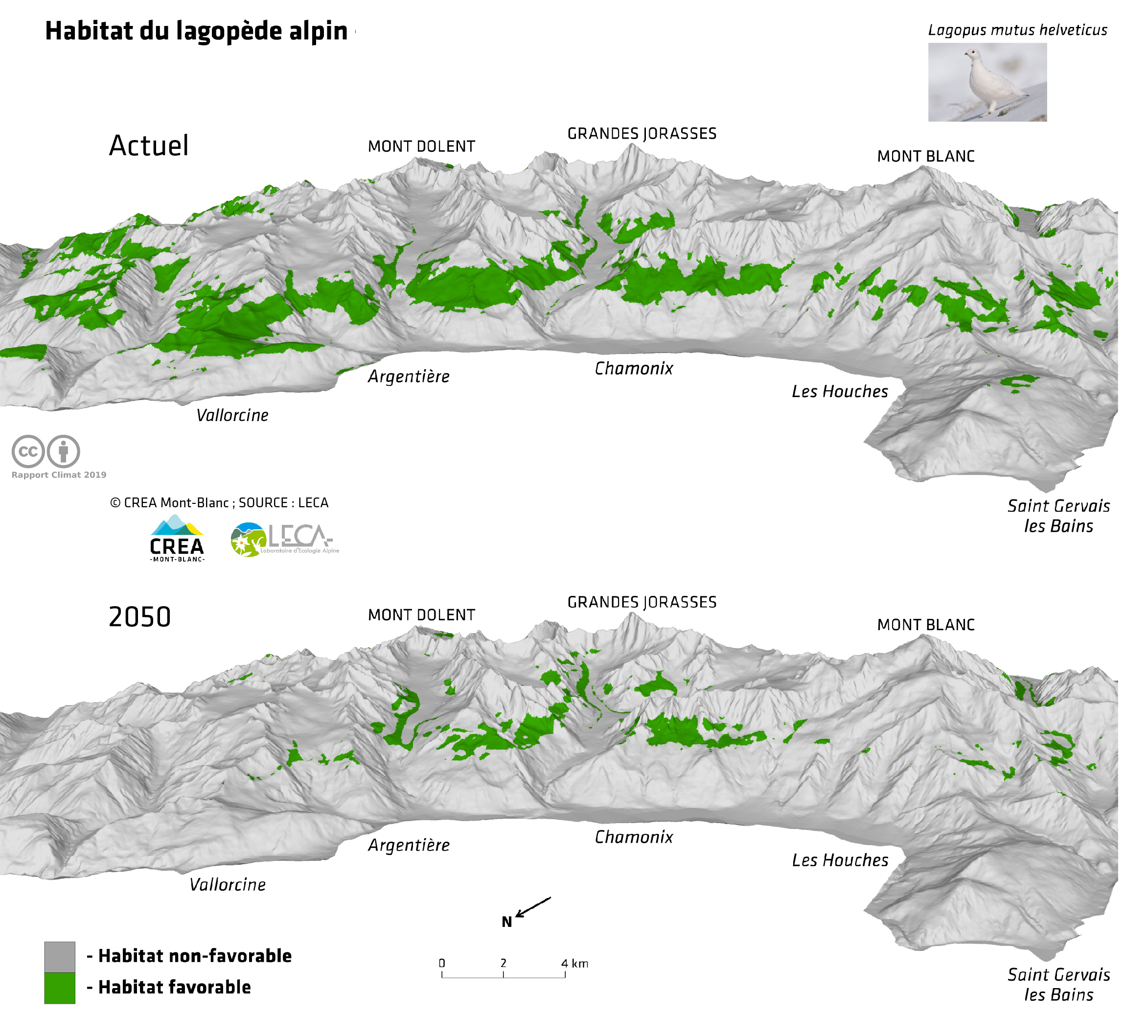Habitat du lagopède alpin