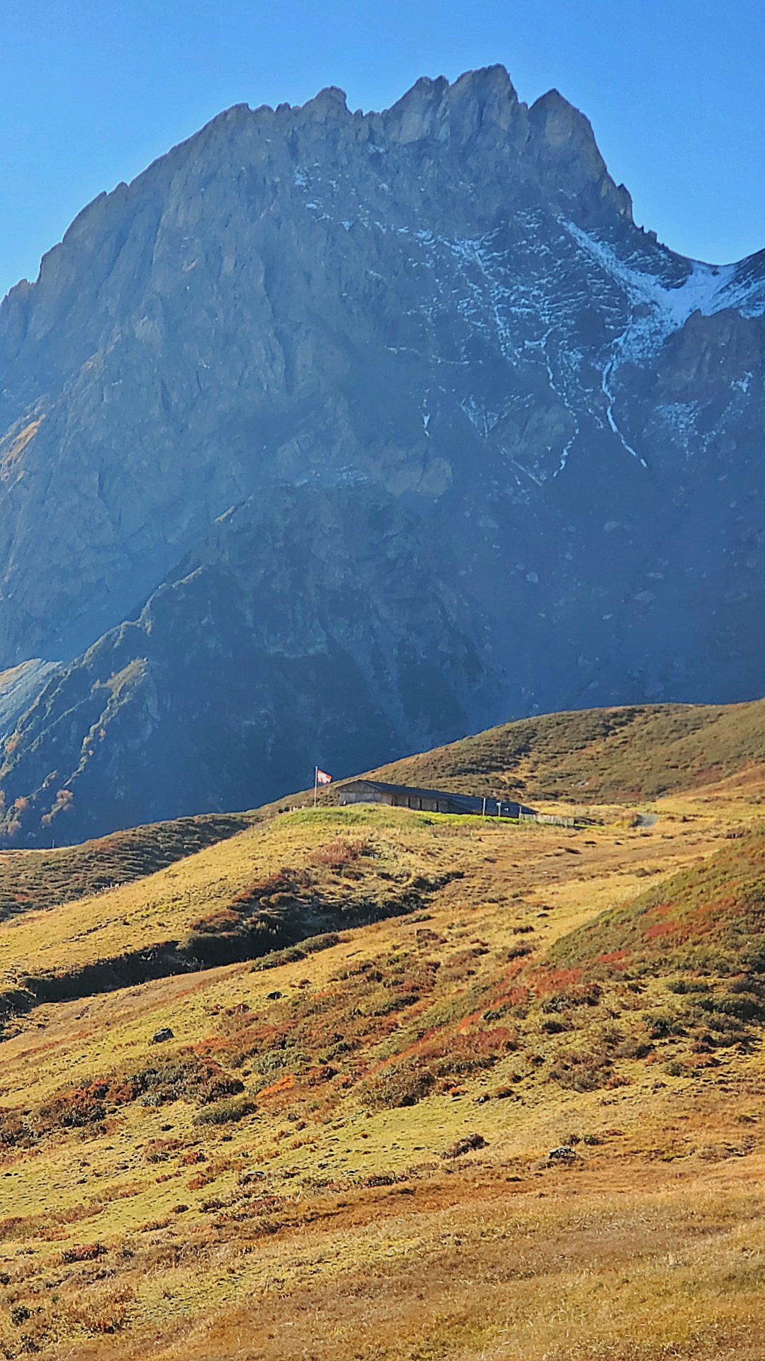 20251018-182738-31095