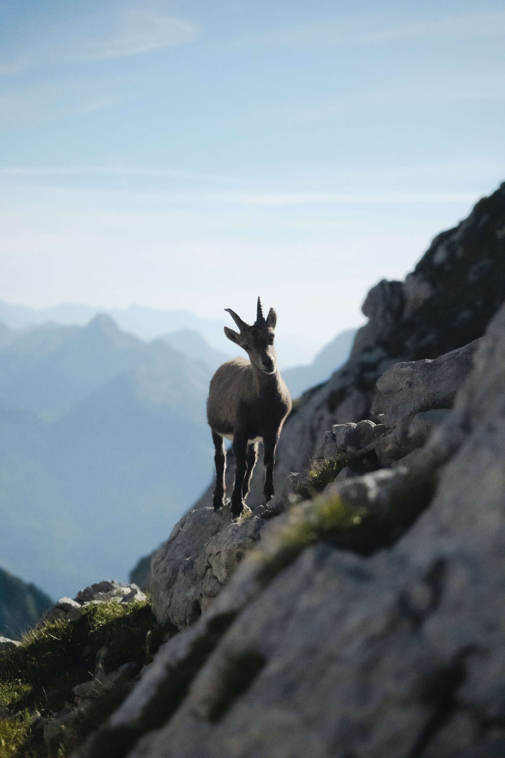 2026-09-25-randonn-e-aravis-etape-3-justingonnet-20-37739