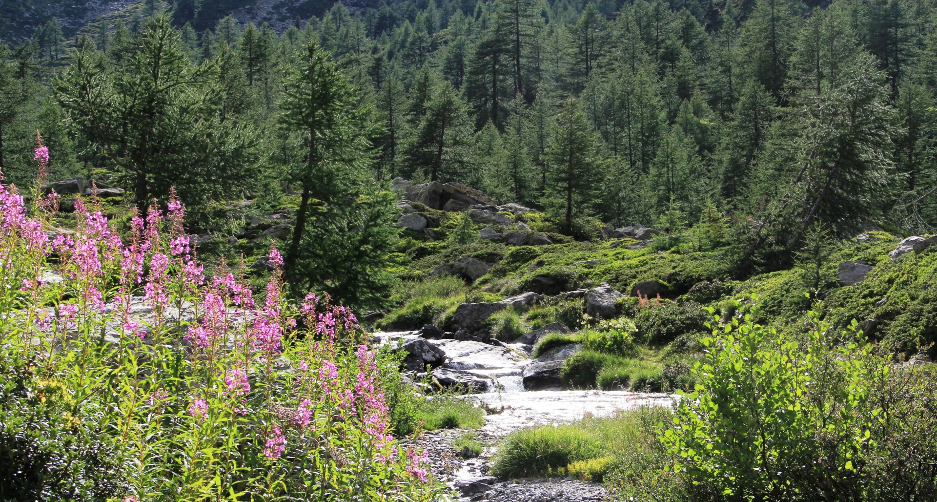 Les plus belles randonnées du Val d'Aoste