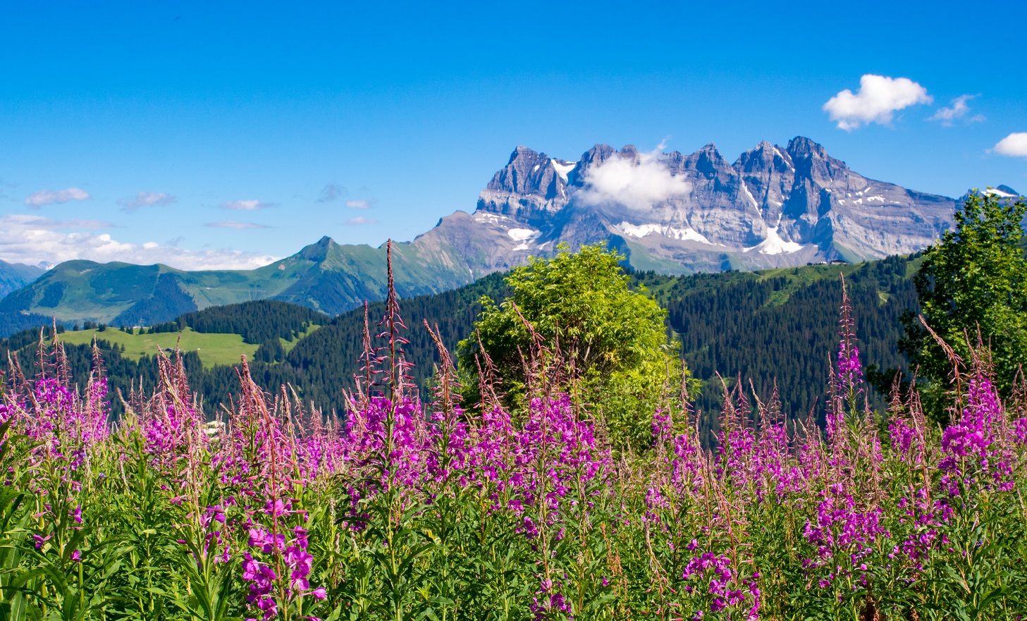Randonnée été Val d'Illiez, Valais Suisse, Dent du Midi