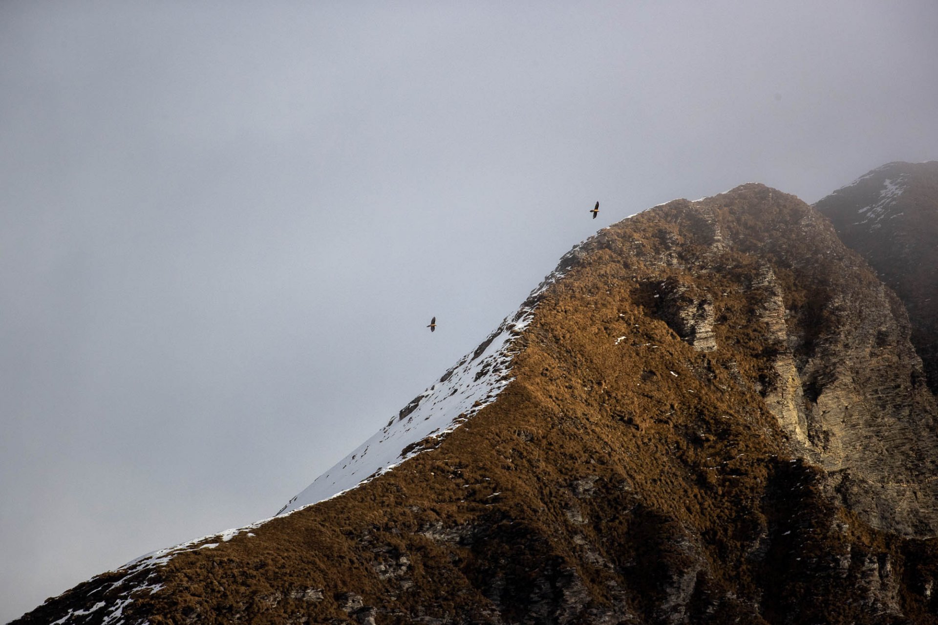 Couleurs D'automne Chamonix