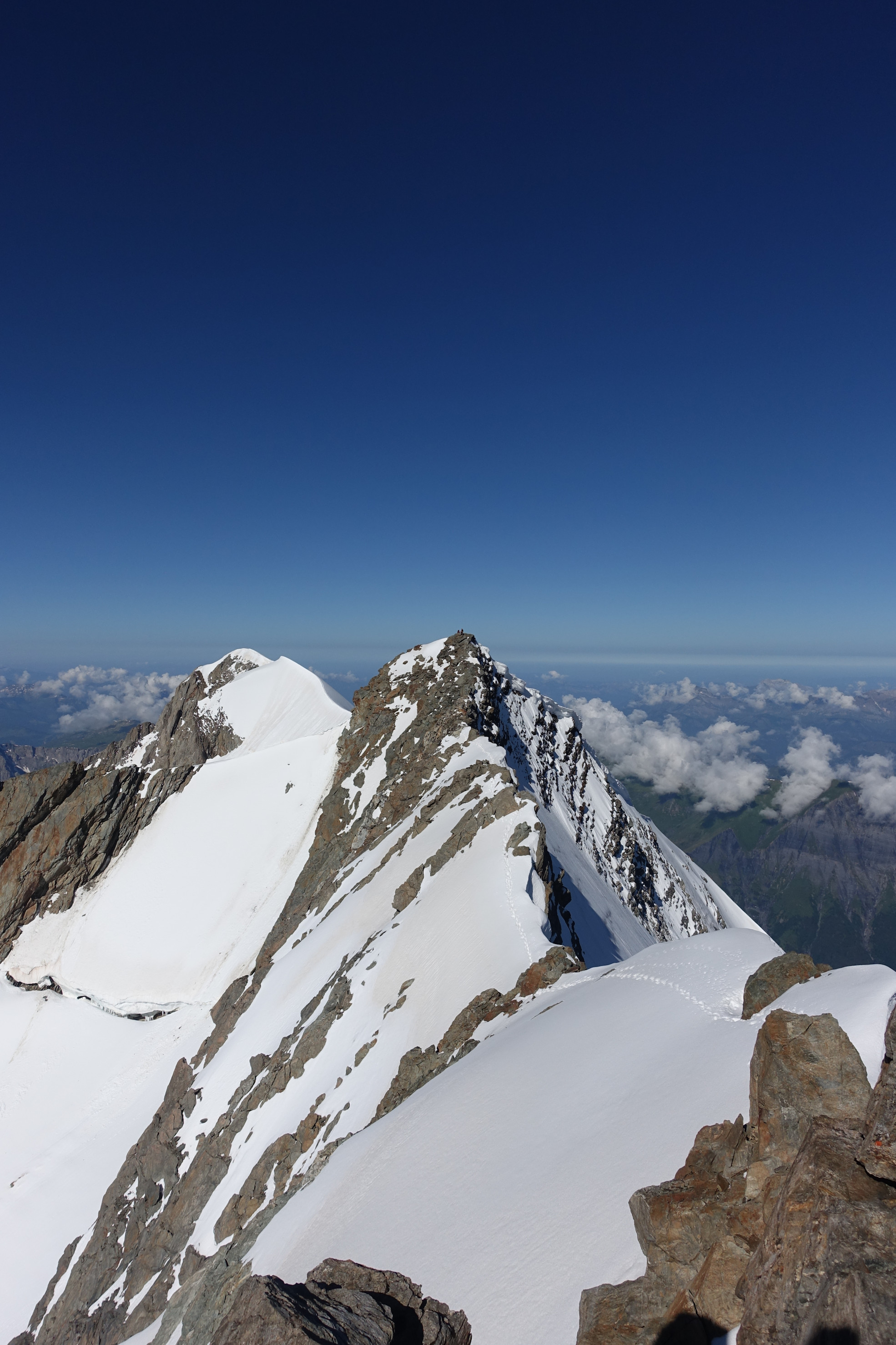 Traversée royale, Miage - Bionnassay - Mont Blanc 