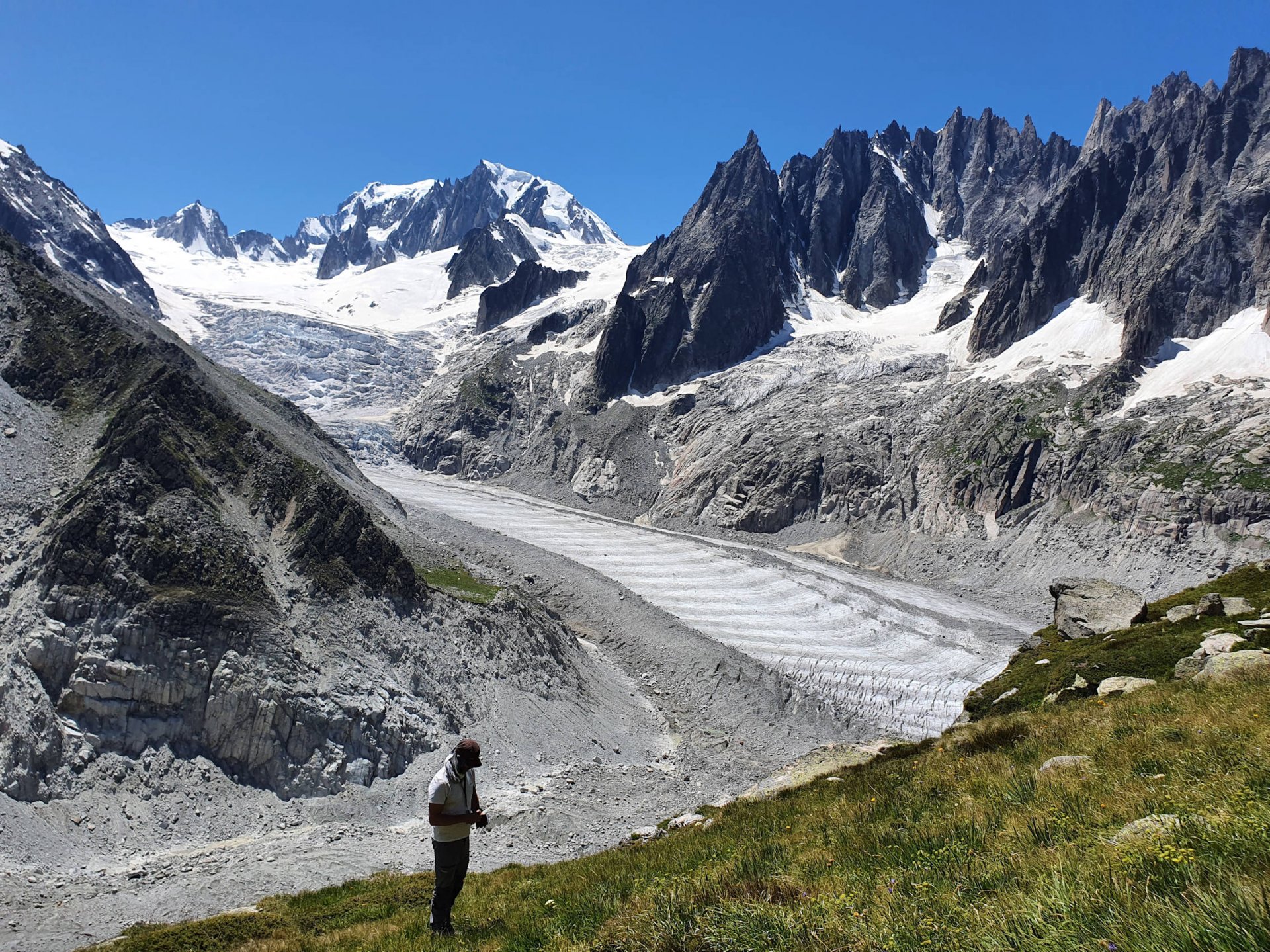 Flore alpine massif du Mont Blanc Jardin de Talèfre Mer de Glace