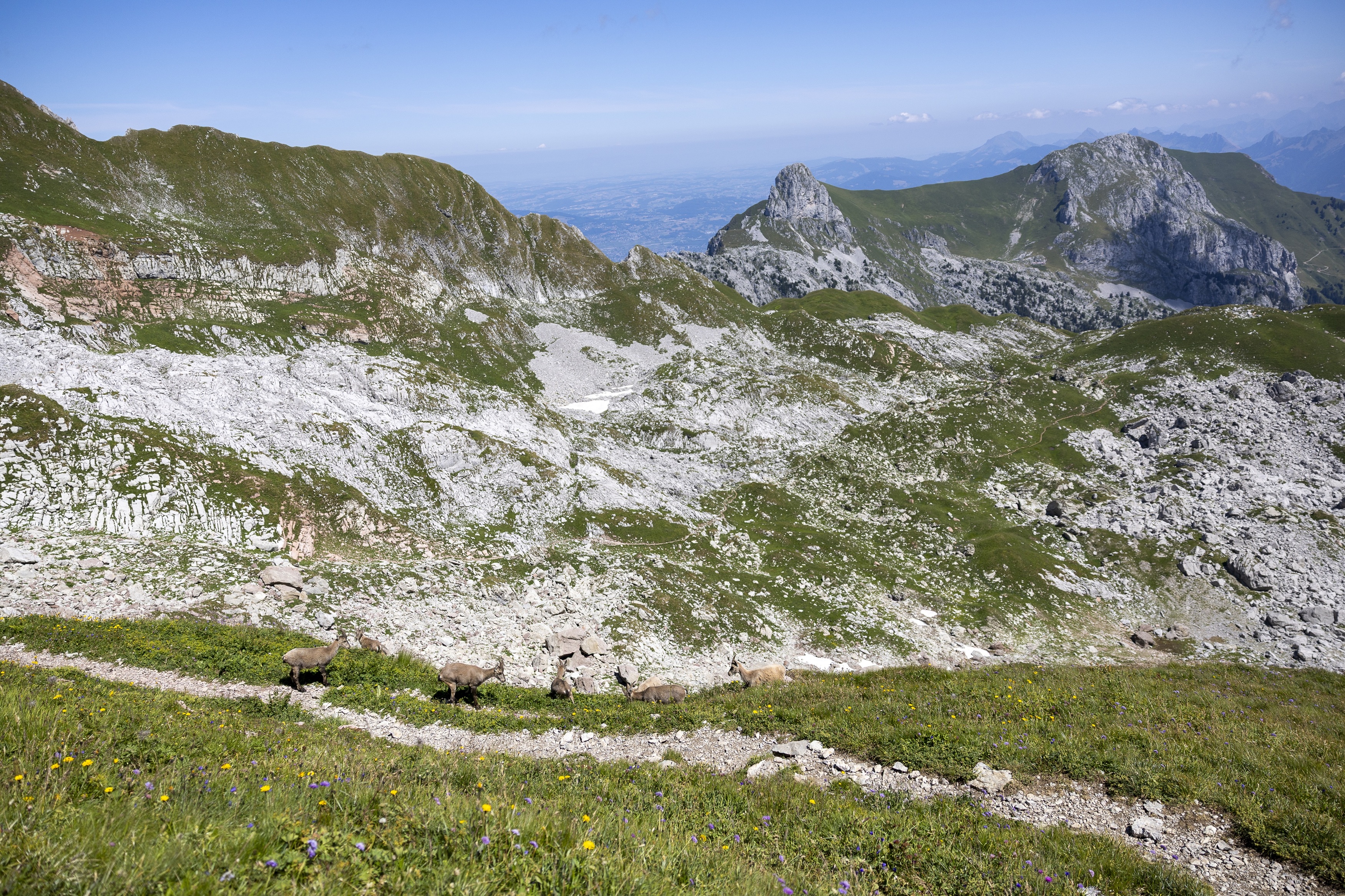 gr5-cornettesdebise-danielrodrigues-33-sur-53-35763