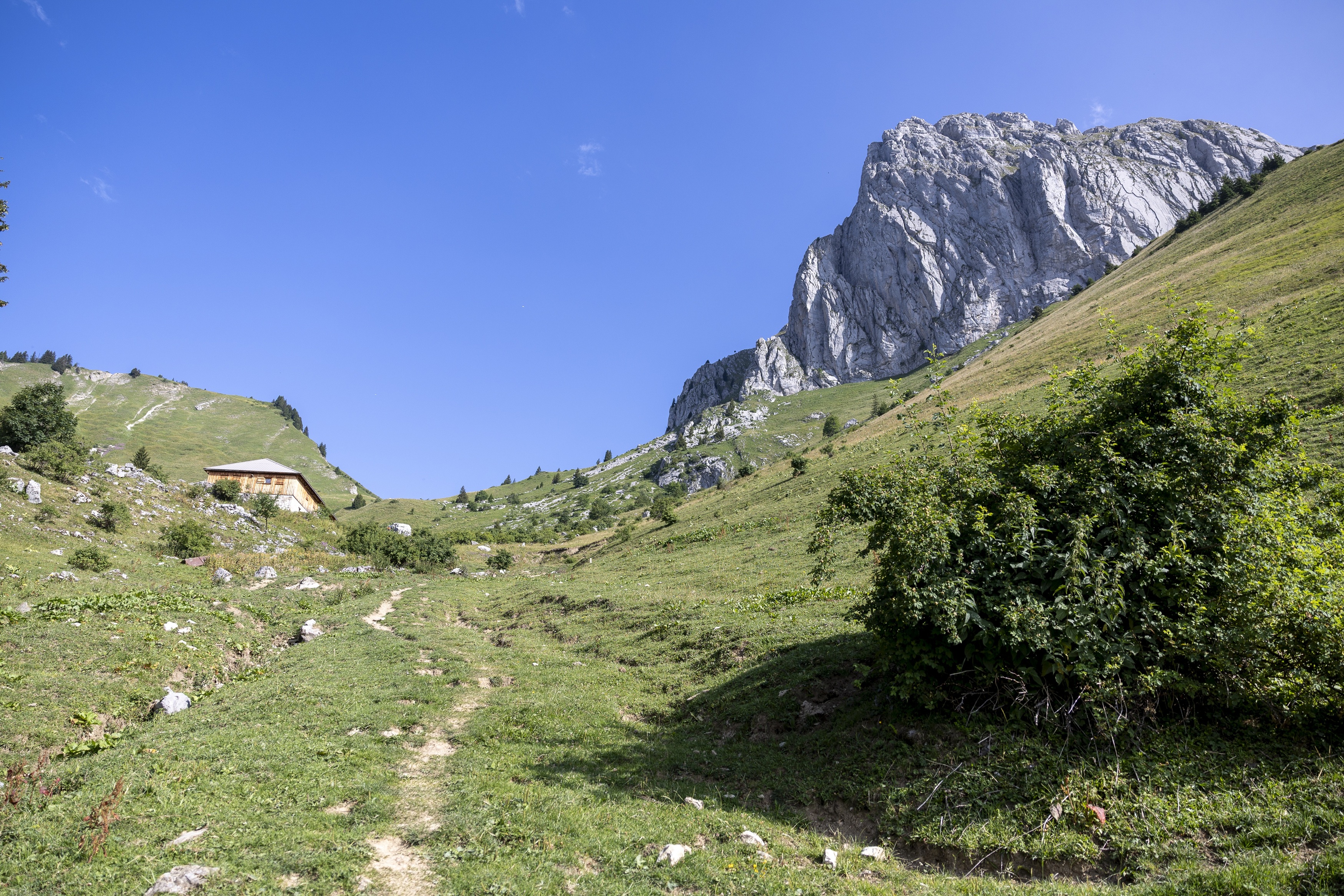 gr5-cornettesdebise-danielrodrigues-4-sur-53-35765