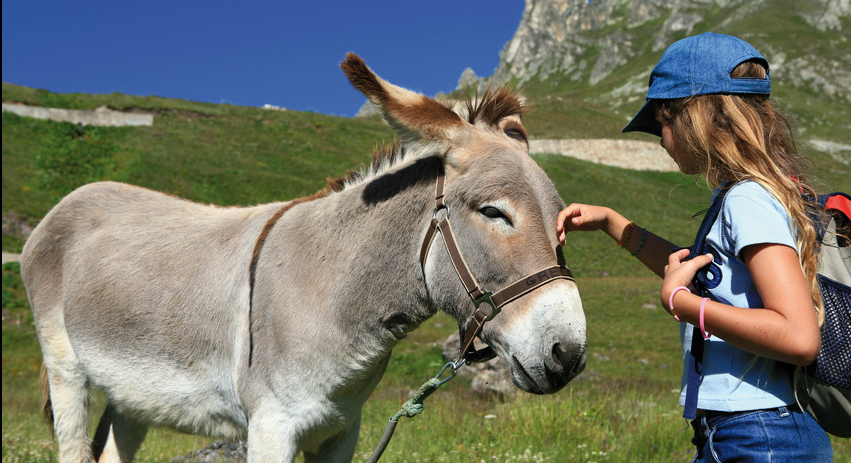 Activités enfants chamonix vacances de la Toussaint