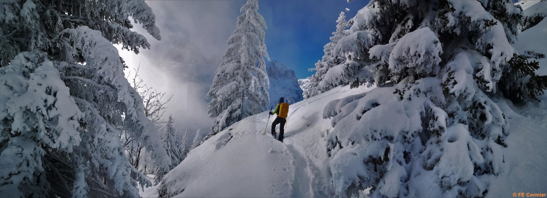 Raquettes Chamonix guides hiver