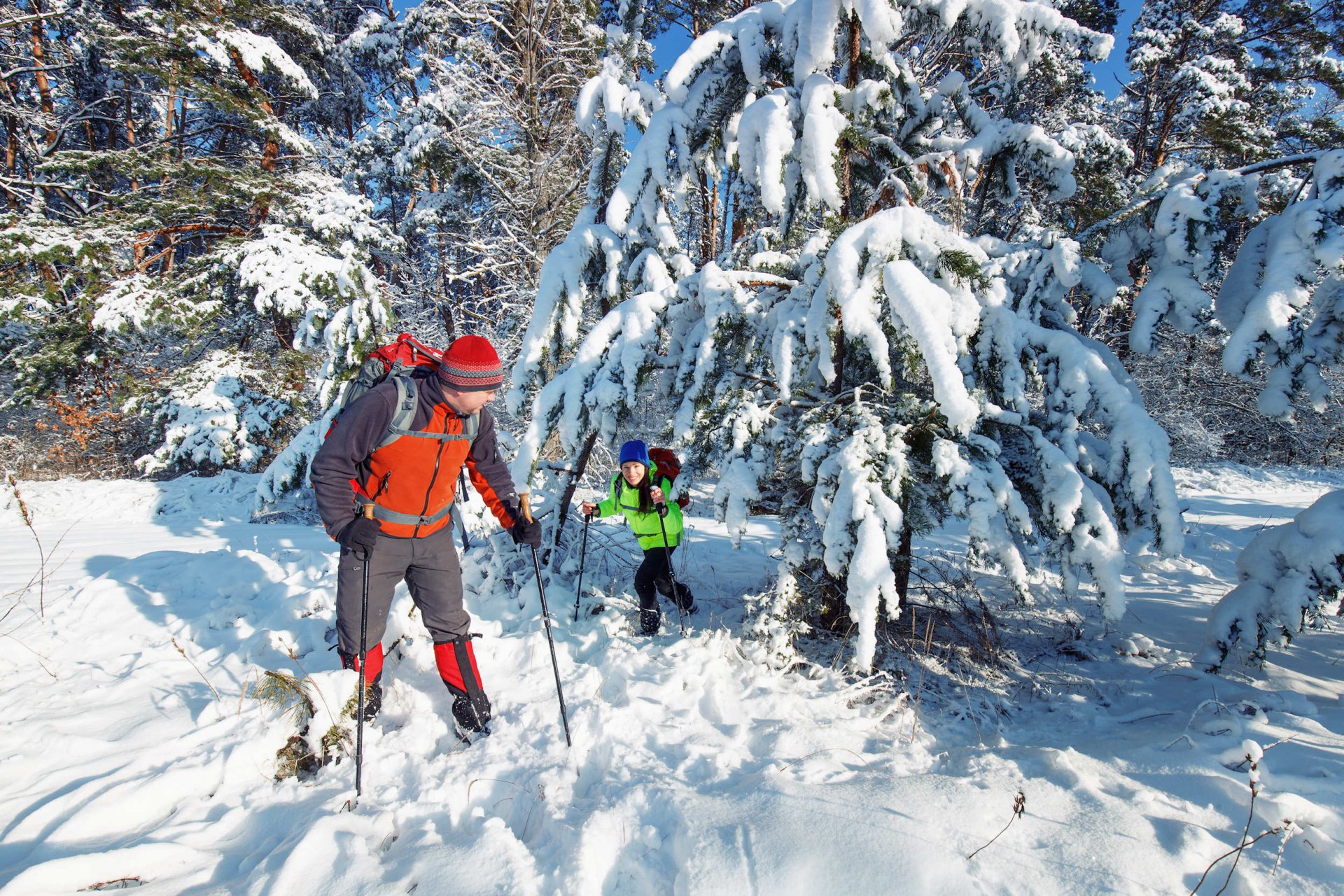 Snowshoeing - Easy initiation - Half day - 2