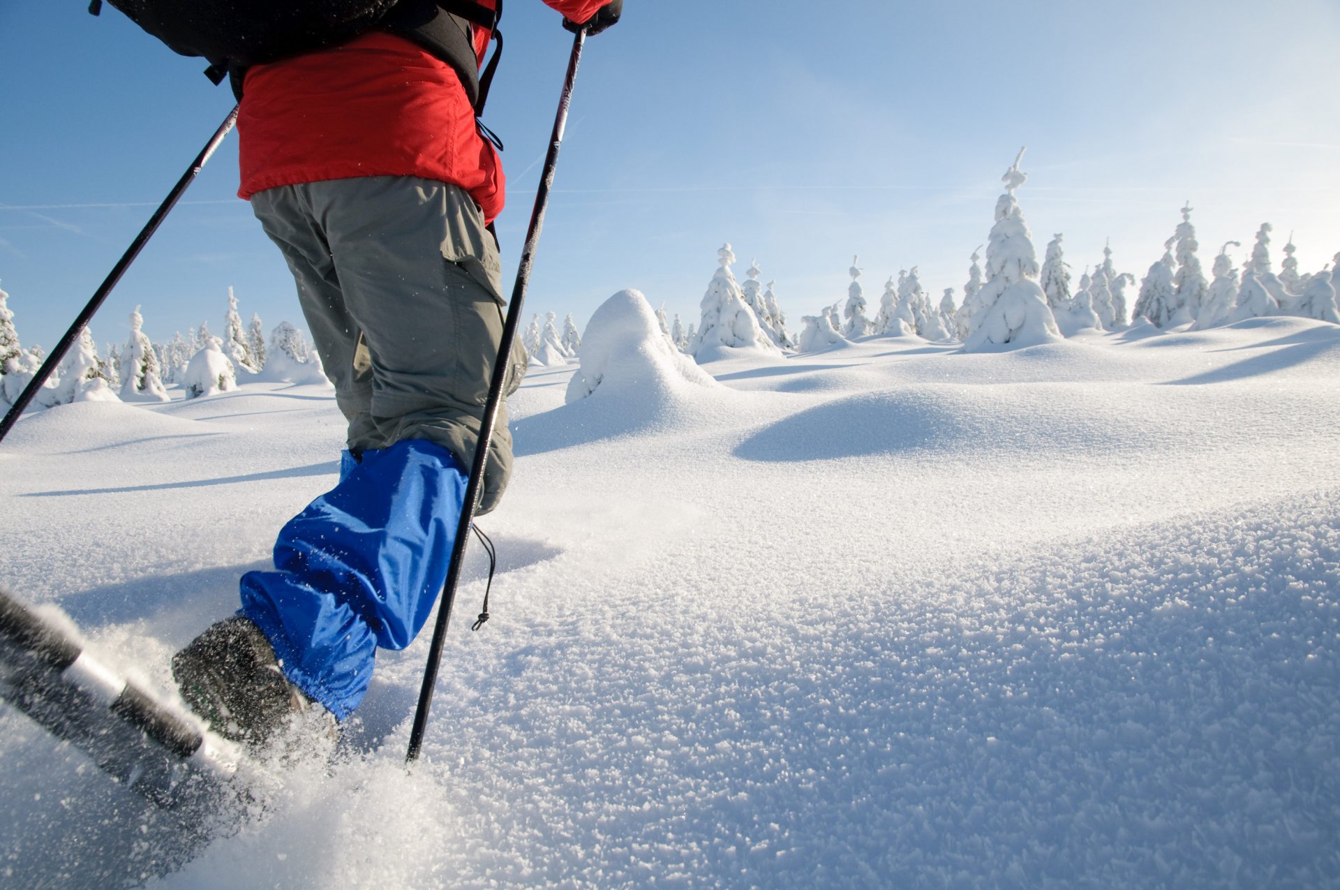 Snowshoeing - Easy initiation - Half day - 4