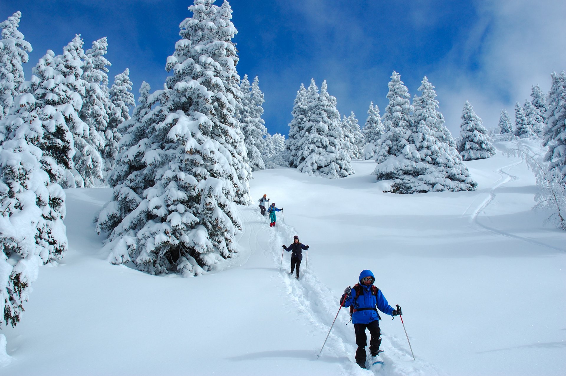 Snowshoeing - Easy initiation - Half day - 1