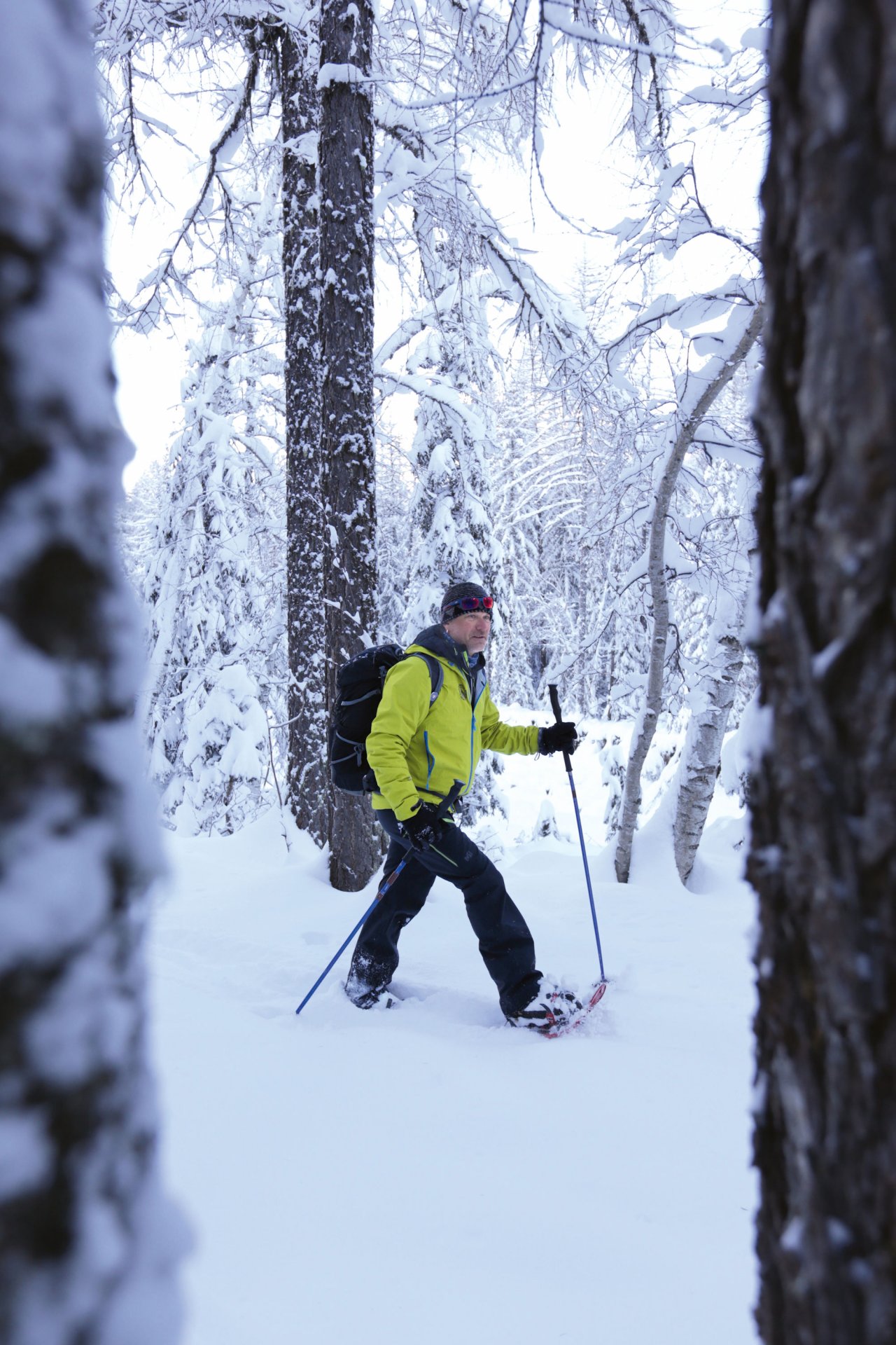 Snowshoeing - Easy initiation - Half day - 7