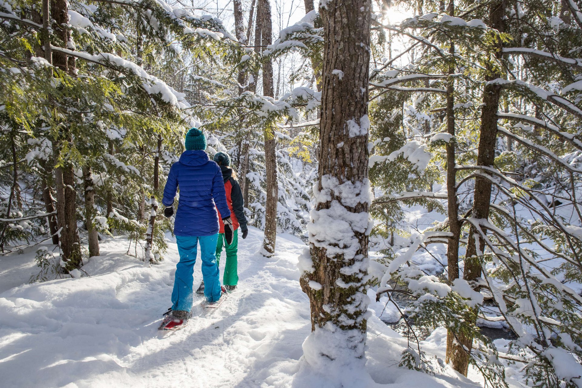 Snowshoeing - Easy initiation - Half day - 3