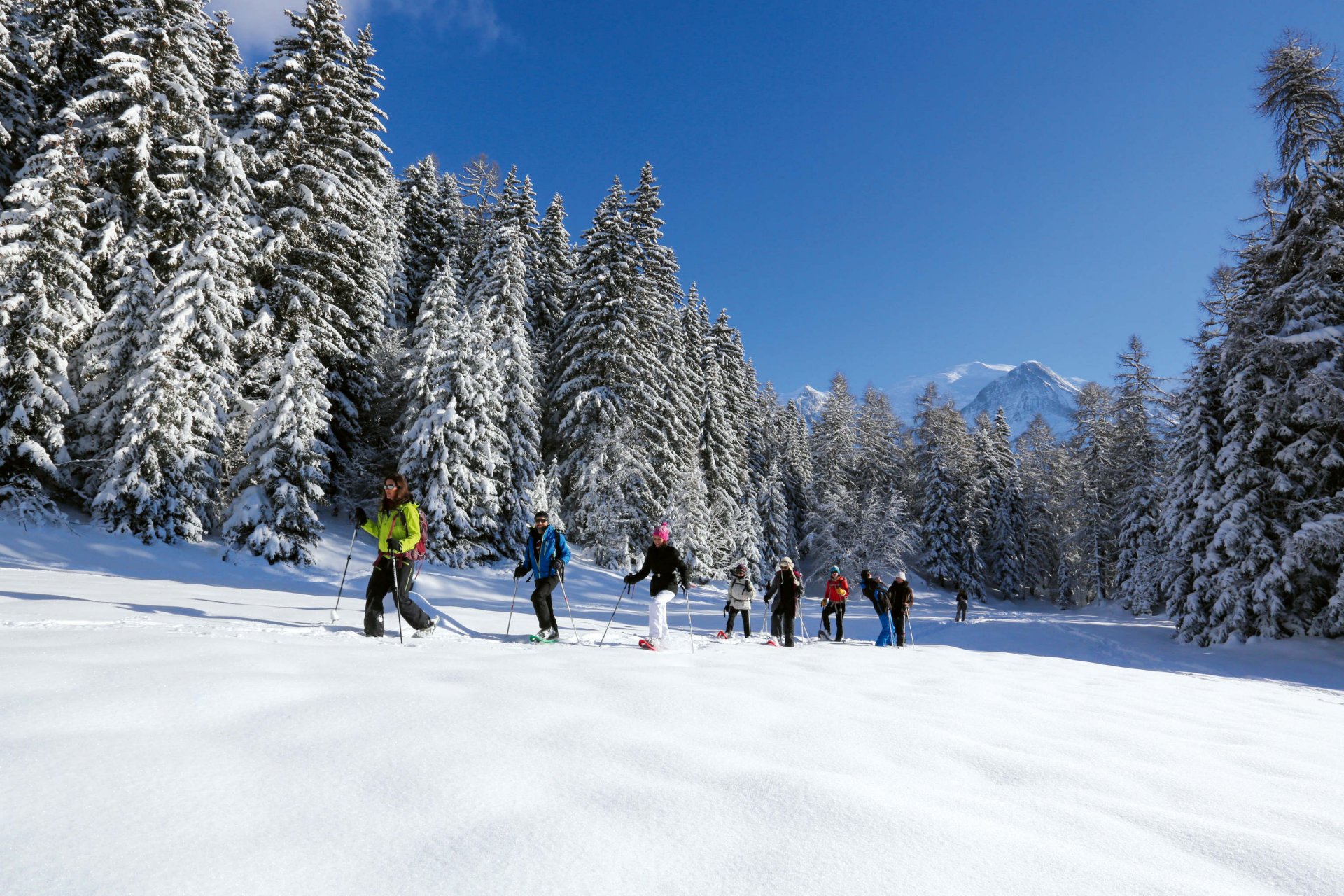 Snowshoeing - Easy initiation - Half day - 5