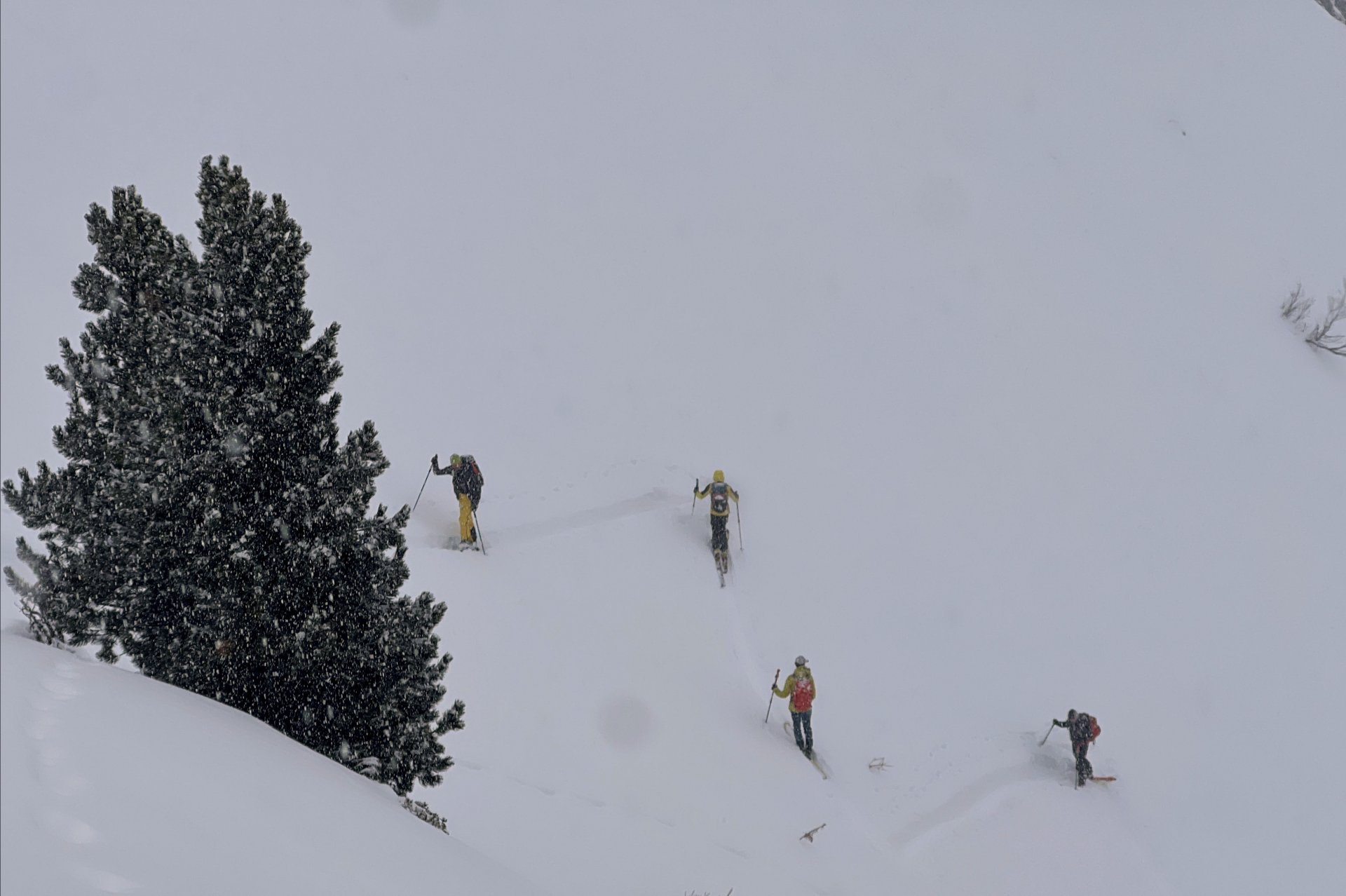 Stage conduite groupe ski rando Chamonix