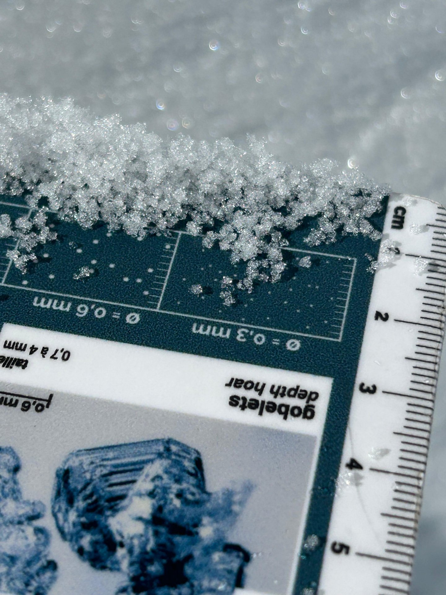 stage gestion risque avalanche chamonix