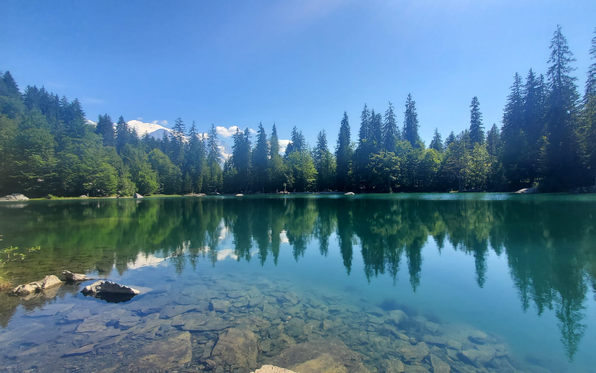 whatsapp-image-2026-03-26-at-16-14-40-33566