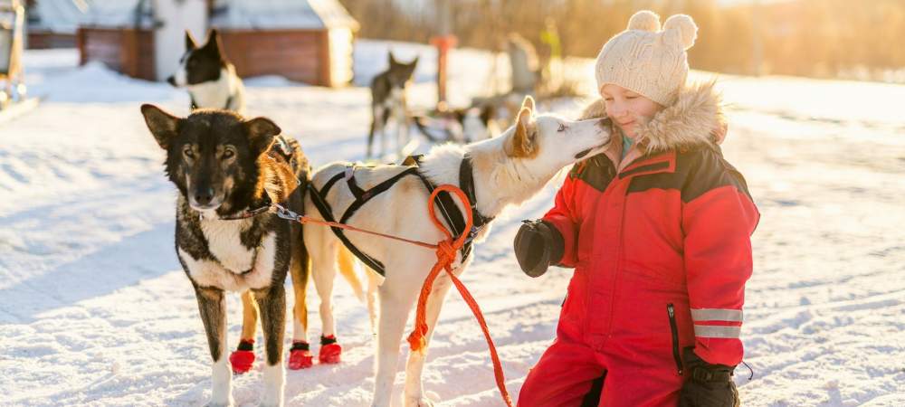 Enfant neige chien de traineau Chamonix