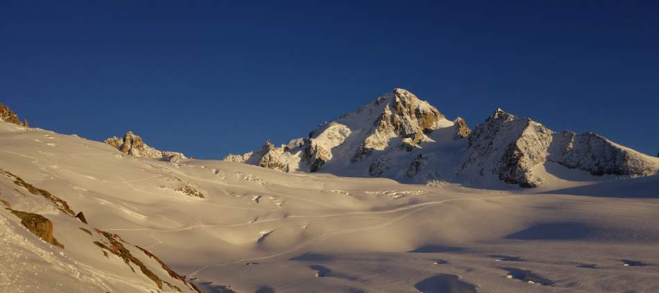 Ski de randonnée, glacier du Tour - Aiguille du Chardonnet