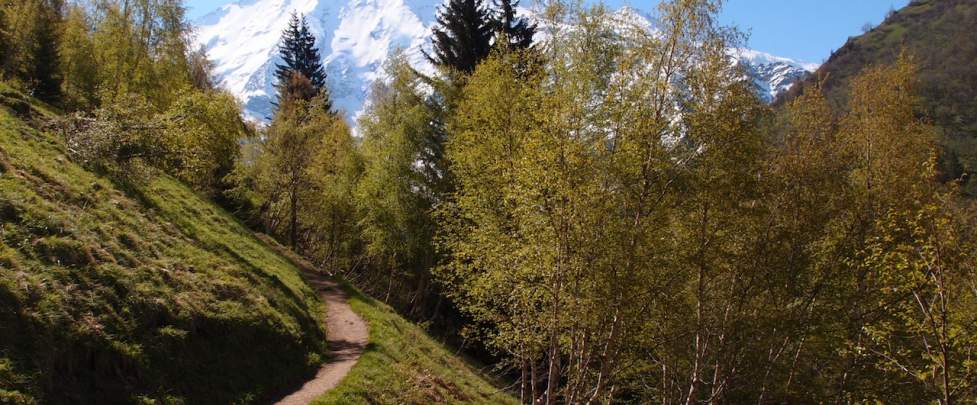 HIKING - FIRST STAGE OF THE TOUR DU MONT-BLANC