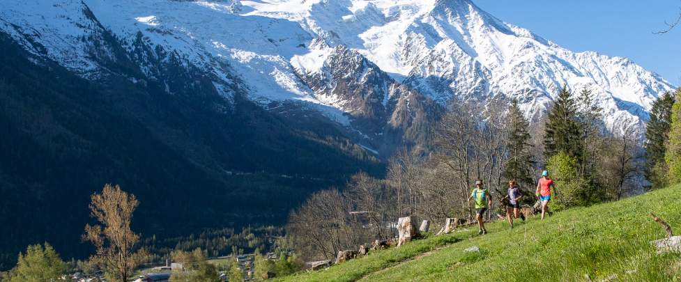 HIKING - TOUR DU MONT BLANC 'EXPRESS'