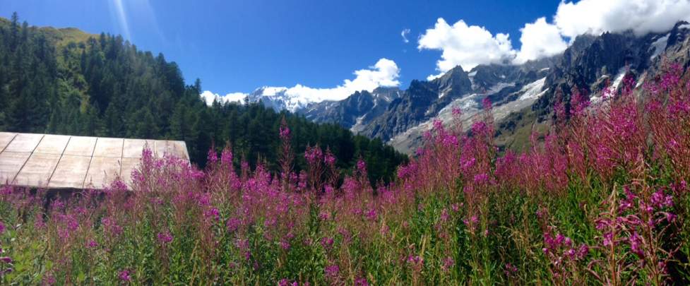Tour du Mont-Blanc – private Vhugen