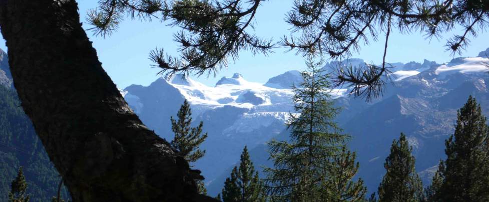 Hiking - Gran Paradiso Range (Italy) 6 days - Junior