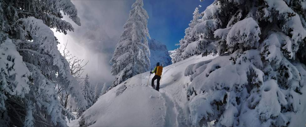 Raquettes Chamonix guides hiver