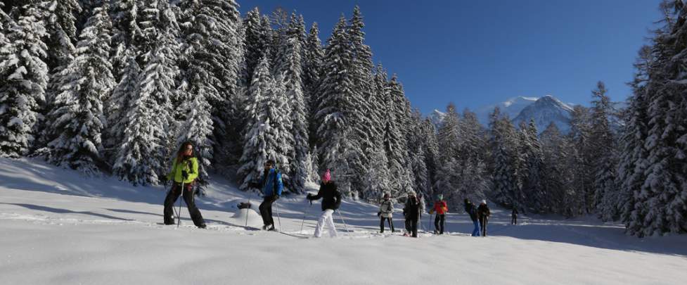 raquettes-demi-journee-neige