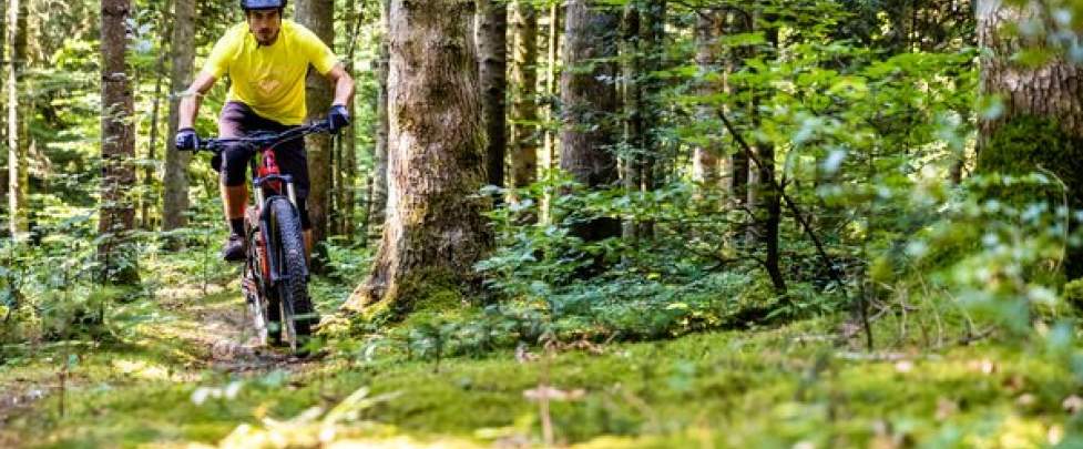 MOUNTAIN BIKE 'EASY RIDE'